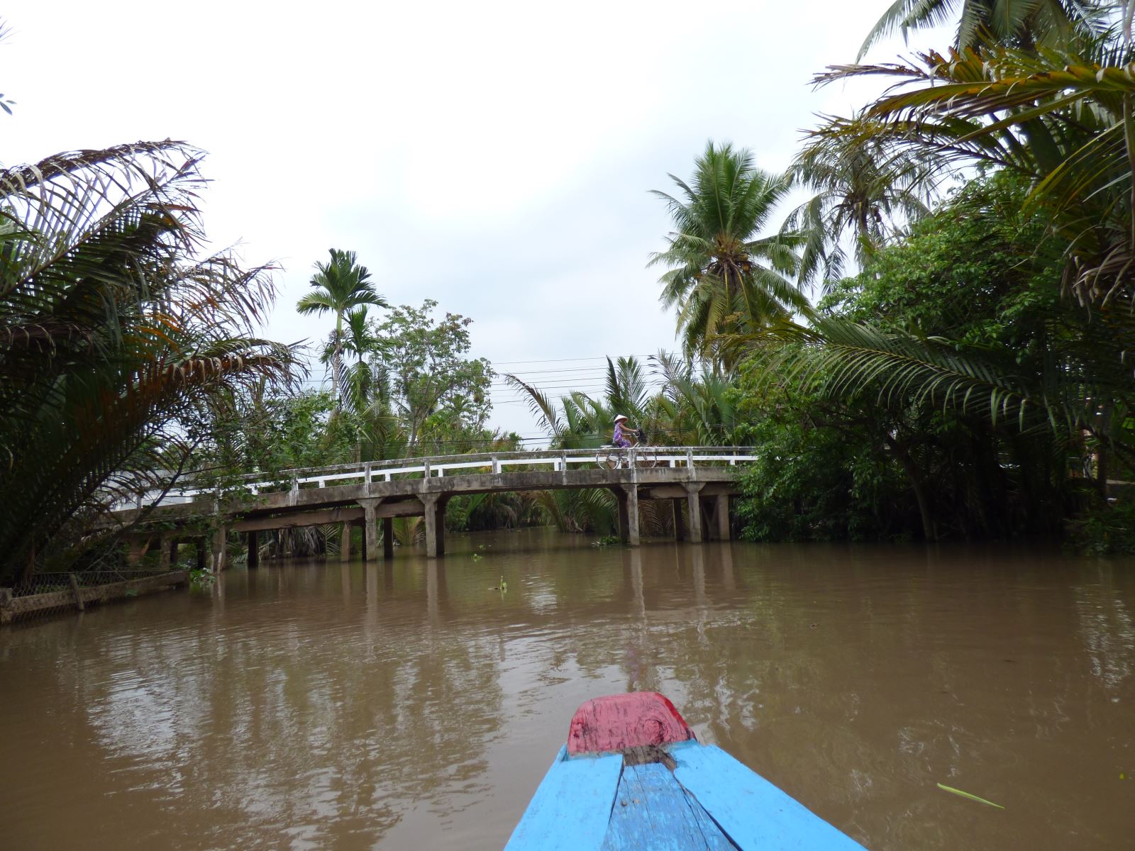 Deep into Mekong Delta